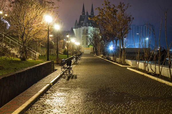 Geweldige nacht straatmening met kasteel op achtergrond — Stockfoto