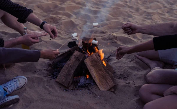 野生的海滩上的朋友点燃篝火和鱼苗的棉花糖 — 图库照片