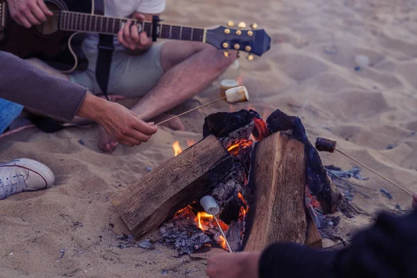 Freunde sitzen auf Steinen am Strand. Mann spielt Gitarre. — Stockfoto