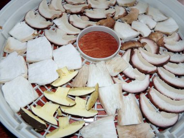 dilimlenmiş mantar, kurutulmuş mantar ,