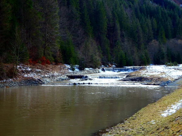 Małych dam, creek — Zdjęcie stockowe