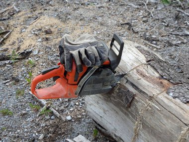 Elektrikli testere, gaz zincirli ağaç kesme testereleri