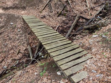 bir orman yolu üzerinde ahşap köprü