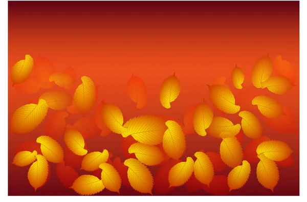 Zlatý podzim, podzimní listí, — Stockový vektor