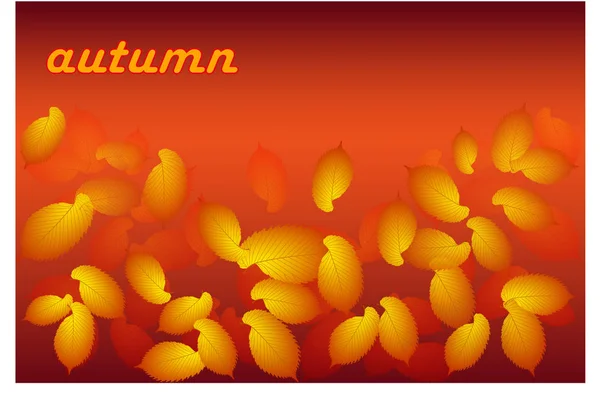 Golden autumn,autumn leaf, — Stock Vector