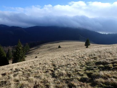 alpin çayır, Velka Fatra, Slovakya,