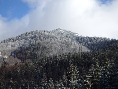 Güzel karlı manzara