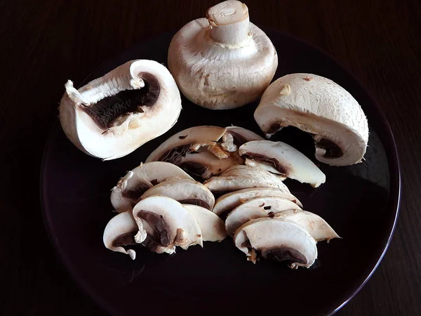 Houby, houby žampióny, — Stock fotografie