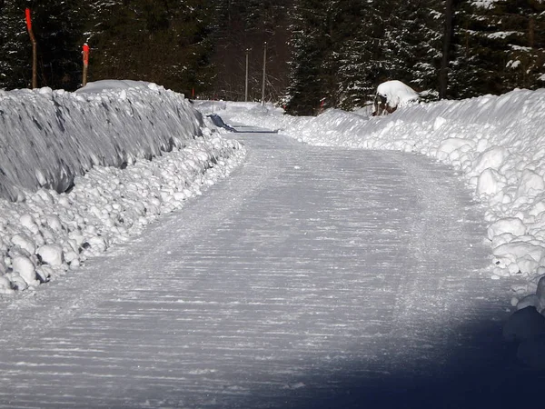 Calamità della neve sulla strada forestale — Foto Stock