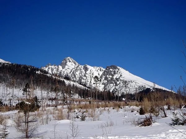 Beautiful winter landscape in the mountains — Stock Photo, Image