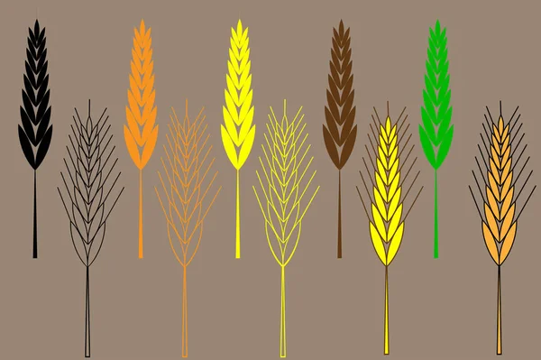 Conjunto de ícones de orelha de trigo, ilustração do vetor de orelha de cevada — Vetor de Stock