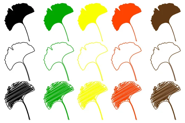 Sada barev listů Ginkgo — Stockový vektor