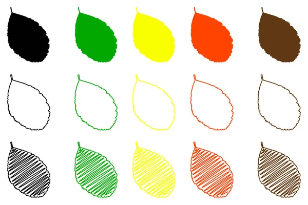 Sada barev listů Rowan — Stockový vektor