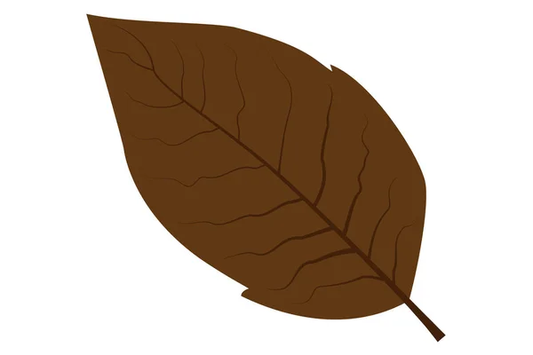Tobacco leaf vector — Stock Vector