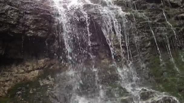 Небольшой водопад в лесу — стоковое видео