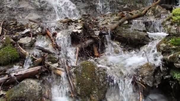 Kleiner Wasserfall im Wald — Stockvideo