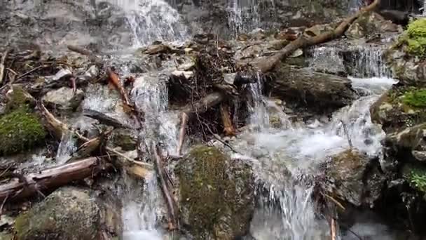petite cascade dans les bois 