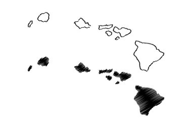 Hawaii Haritası vektör