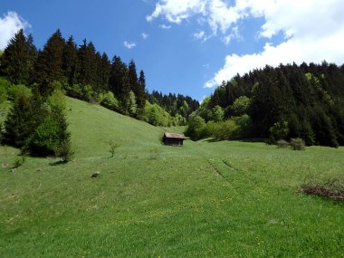 eski ahır bir çayırda