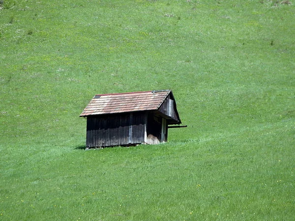 Eski ahır bir çayırda — Stok fotoğraf