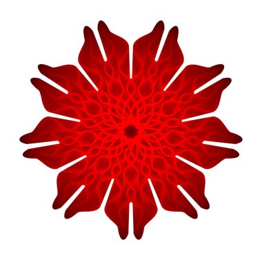 Beyaz arkaplanda kırmızı çiçek