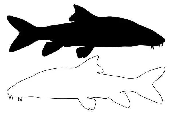 Vector silhouet van de Barbeel vissen — Stockvector