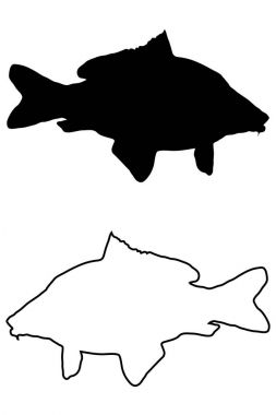 Sazan siluet vektör 