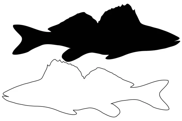Zander silhouette vector — Stock Illustration Zander silhouette vector Vector Graphics