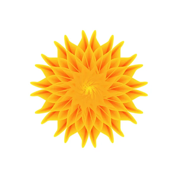 白い背景にオレンジ色の花を咲かせ — ストックベクタ