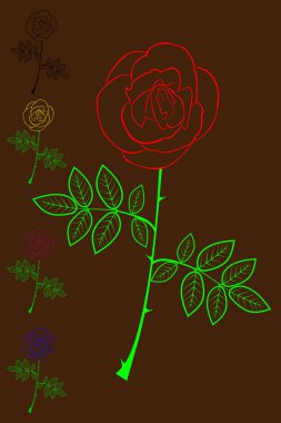 Gül vektör illüstrasyon renk kümesi