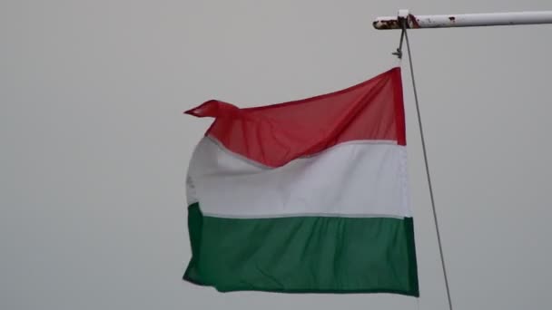 Hungarian flag , flag — Stock Video