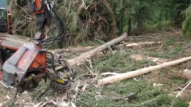 Vista sobre el moderno árbol de procesamiento de troncos, cosecha de madera , — Vídeo de stock