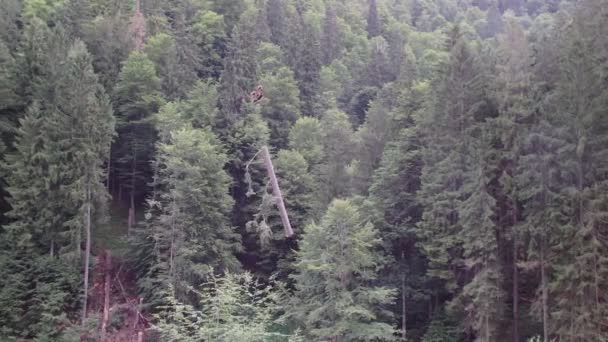 Hout vervoer met de kabelbaan in de bossen, hout oogsten — Stockvideo