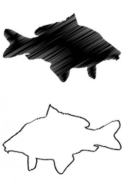 Sazan siluet vektör 