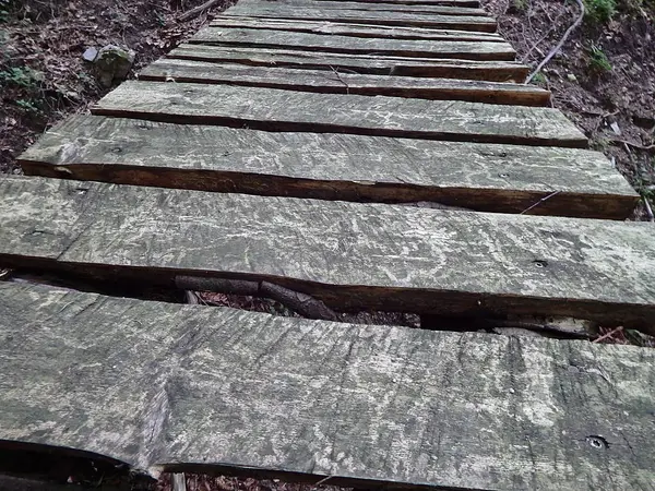 Dřevěný most v lese — Stock fotografie