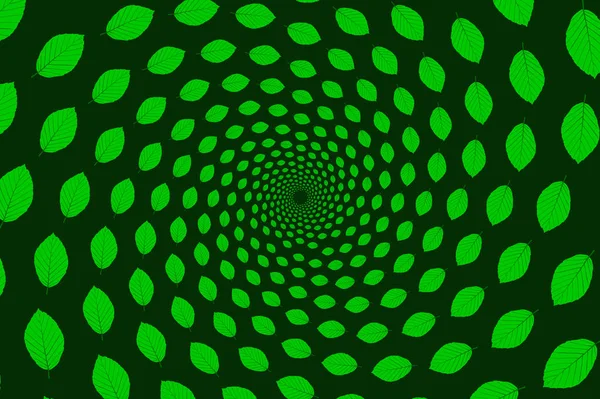 Hoja de haya sobre fondo verde — Vector de stock