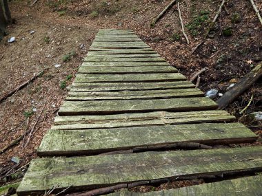 Ormanda ahşap köprü