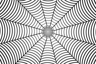 Beyaz arka planda siyah örümcek ağı 