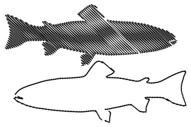 Alabalık siluet vektör 