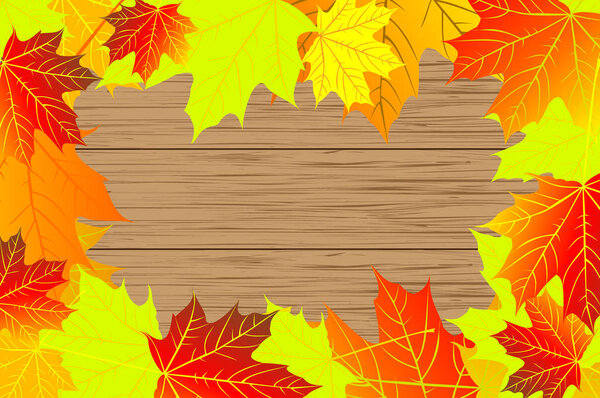 Autumnal leaf of maple 
