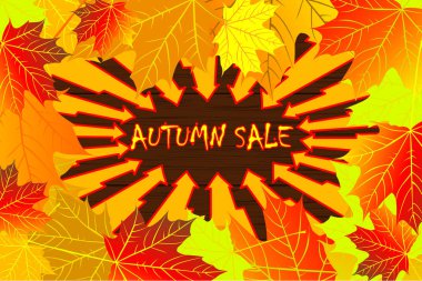 Akçaağaç sonbahar yaprak 