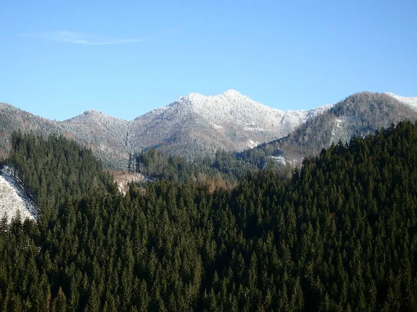 Dağlarda güneşli bir gün — Stok fotoğraf