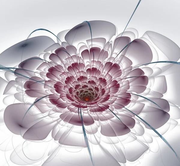 Fractal Flowers Fantasy