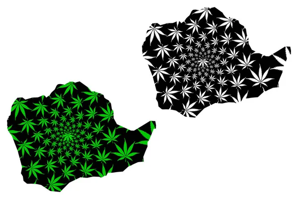 Kinshasa Province (Democratic Republic of the Congo, DR Congo, DRC, Congo-Kinshasa) map is designed cannabis leaf green and black, Leopoldville map made of marijuana (marihuana,THC) foliag — Stock Vector