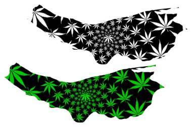 Mazandaran Eyaleti (İran Eyaletleri, İran İslam Cumhuriyeti, İran) haritası esrar yaprağı yeşil ve siyah, Mazandaran haritası marihuanadan (marihuana, Thc) yapılmıştır.