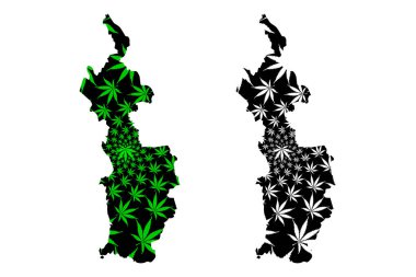 Çikolata Bölümü (Kolombiya, Kolombiya Cumhuriyeti, Kolombiya Departmanı) haritası kenevir yaprağı yeşil ve siyah, marihuana (marihuana, Thc) yaprağından yapılmış Choco haritası tasarlanmıştır.