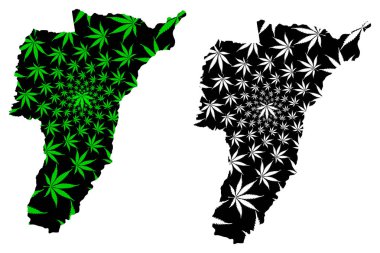 Quindio Departmanı (Kolombiya, Kolombiya Cumhuriyeti, Kolombiya Departmanı) haritası kenevir yaprağı yeşil ve siyah, marihuana (marihuana, Thc) yaprağından Quindio haritası tasarlanmıştır.