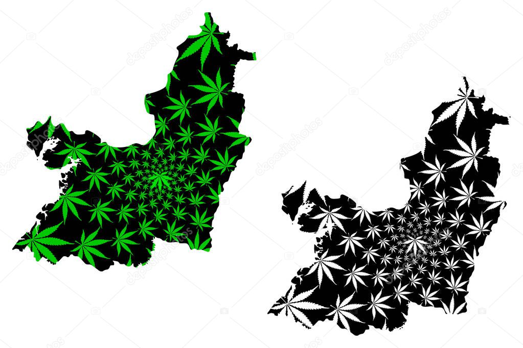 Valle del Cauca Department (Colombia, Republic of Colombia, Departments of Colombia) map is designed cannabis leaf green and black, Valle del Cauca map made of marijuana (marihuana,THC) foliag