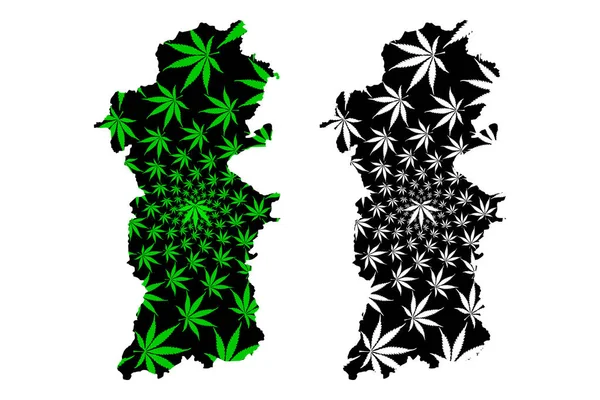 Powys (Reino Unido, Gales, Cymru, Principal areas of Wales) map is designed cannabis leaf green and black, County of Powys map made of marijuana (marihuana, THC) foliag — Vector de stock