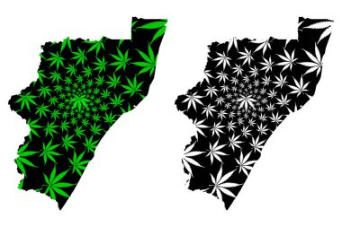 Kwazulu-Natal Eyaleti (Güney Afrika Cumhuriyeti, Rsa) haritası kenevir yaprağı yeşil ve siyah, Kwazulu-Natal (Zulu Krallığı, Kzn) haritası marihuanadan (marihuana, Thc) yapılmıştır.